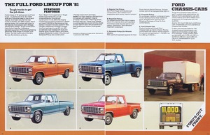 1981 Ford Pickup (Cdn)-12-13.jpg